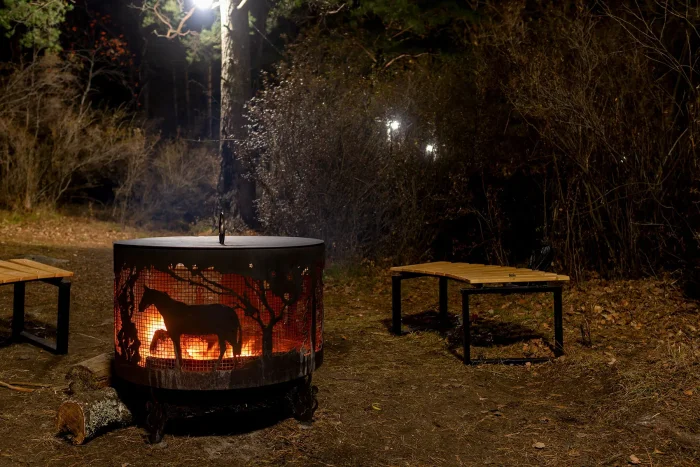 Костровая чаша